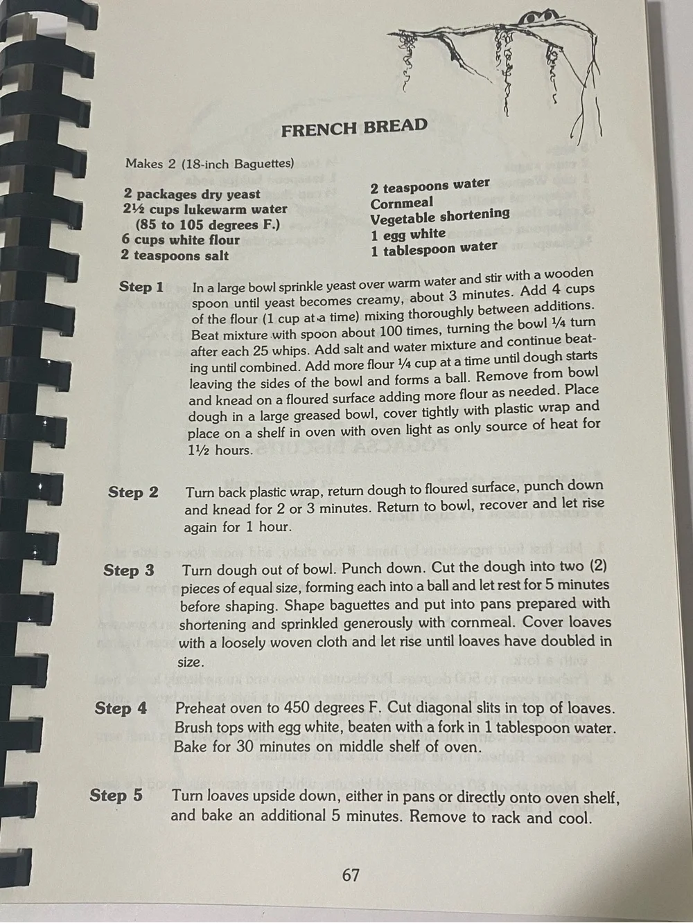 Froggy Bottom Louisiana Cuisine Cookbook 1995 Spiral Cajun Creole Signed Vintage